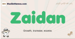 Zaidan muslim boys name and meaning, islamic boys name Zaidan