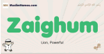 Zaighum muslim boys name and meaning, islamic boys name Zaighum