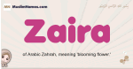Zaira muslim girls name and meaning, islamic girls name Zaira