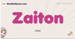 Zaiton muslim girls name and meaning, islamic girls name Zaiton