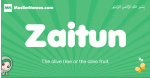 Zaitun arabic girl name and meaning, quranic girls name Zaitun