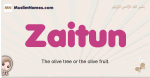Zaitun muslim girls name and meaning, islamic girls name Zaitun