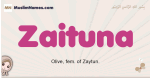 Zaituna muslim girls name and meaning, islamic girls name Zaituna