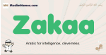 Zakaa muslim boys name and meaning, islamic boys name Zakaa