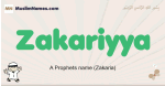 Zakariyya muslim boys name and meaning, islamic boys name Zakariyya