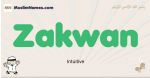 Zakwan muslim boys name and meaning, islamic boys name Zakwan