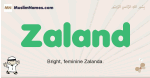 Zaland muslim boys name and meaning, islamic boys name Zaland