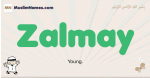 Zalmay muslim boys name and meaning, islamic boys name Zalmay