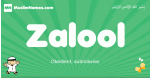 Zalool arabic boys name and meaning, quranic boys name Zalool