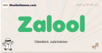 Zalool muslim boys name and meaning, islamic boys name Zalool