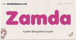Zamda muslim girls name and meaning, islamic girls name Zamda