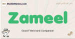 Zameel muslim boys name and meaning, islamic boys name Zameel
