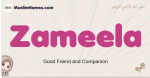 Zameela muslim girls name and meaning, islamic girls name Zameela