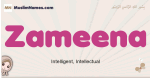 Zameena muslim girls name and meaning, islamic girls name Zameena