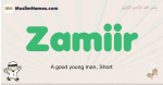 Zamiir muslim boys name and meaning, islamic boys name Zamiir