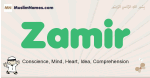 Zamir muslim boys name and meaning, islamic boys name Zamir