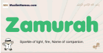Zamurah muslim boys name and meaning, islamic boys name Zamurah