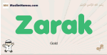 Zarak muslim boys name and meaning, islamic boys name Zarak