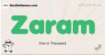Zaram muslim boys name and meaning, islamic boys name Zaram