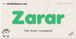 Zarar muslim boys name and meaning, islamic boys name Zarar