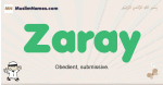 Zaray muslim boys name and meaning, islamic boys name Zaray