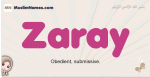 Zaray muslim girls name and meaning, islamic girls name Zaray