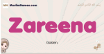 Zareena muslim girls name and meaning, islamic girls name Zareena