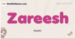 Zareesh muslim girls name and meaning, islamic girls name Zareesh