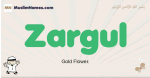 Zargul muslim boys name and meaning, islamic boys name Zargul