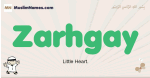 Zarhgay muslim boys name and meaning, islamic boys name Zarhgay