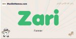 Zari muslim boys name and meaning, islamic boys name Zari