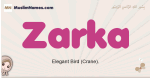 Zarka muslim girls name and meaning, islamic girls name Zarka