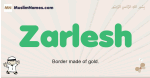 Zarlesh muslim boys name and meaning, islamic boys name Zarlesh