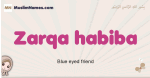 Zarqa-habiba muslim girls name and meaning, islamic girls name Zarqa-habiba