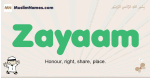 Zayaam muslim boys name and meaning, islamic boys name Zayaam