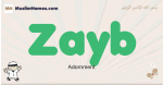 Zayb muslim boys name and meaning, islamic boys name Zayb