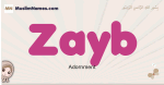 Zayb muslim girls name and meaning, islamic girls name Zayb