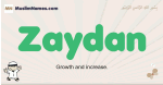 Zaydan muslim boys name and meaning, islamic boys name Zaydan