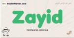 Zayid muslim boys name and meaning, islamic boys name Zayid
