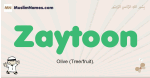 Zaytoon muslim boys name and meaning, islamic boys name Zaytoon