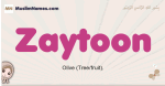 Zaytoon muslim girls name and meaning, islamic girls name Zaytoon
