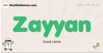 Zayyan muslim boys name and meaning, islamic boys name Zayyan