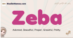 Zeba muslim girls name and meaning, islamic girls name Zeba