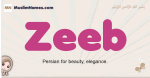 Zeeb muslim girls name and meaning, islamic girls name Zeeb