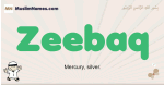 Zeebaq muslim boys name and meaning, islamic boys name Zeebaq