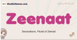 Zeenaat muslim girls name and meaning, islamic girls name Zeenaat