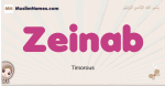 Zeinab muslim girls name and meaning, islamic girls name Zeinab