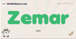 Zemar muslim boys name and meaning, islamic boys name Zemar