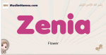 Zenia muslim girls name and meaning, islamic girls name Zenia