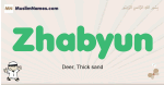 Zhabyun muslim boys name and meaning, islamic boys name Zhabyun